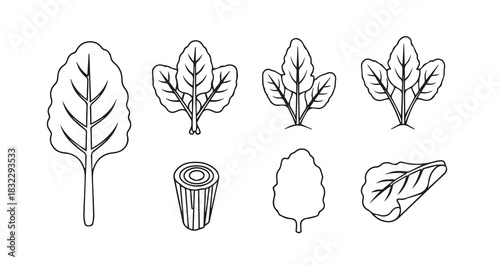 Whisk vector kitchen utensil for cooking and baking food preparation in a home kitchen setting