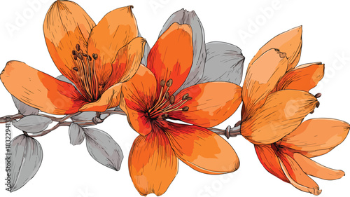 Elegant Orange Flower Vector Drawing with Detailed Outline for Design Projects
