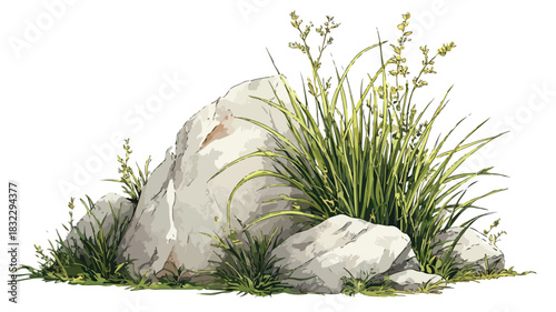 Botanical illustration of grass, rocks, and plant on vector drawing