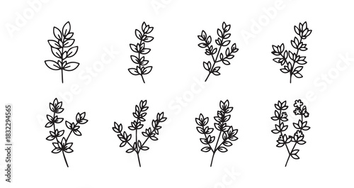 Thyme icon 6 pec set black line art