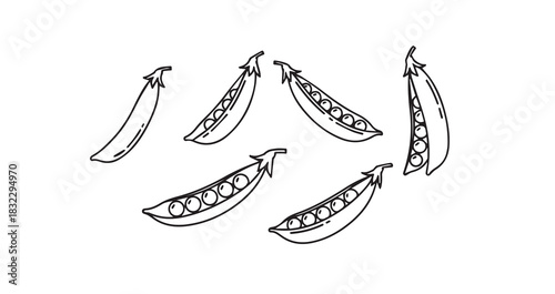 Snow Peas icon 6 pec set black line art