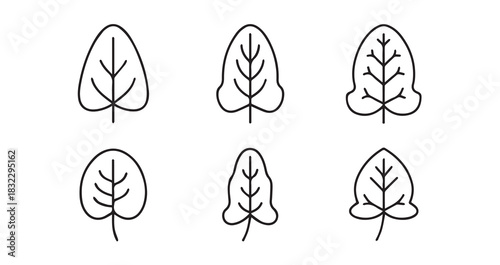 Sorrel icon 6 pec set black line art