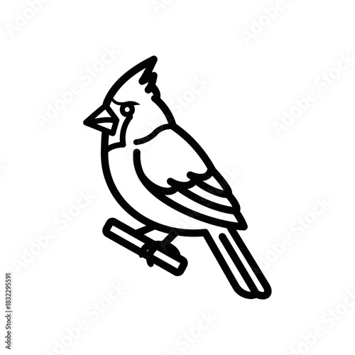Cardinal bird illustration sitting on a branch  