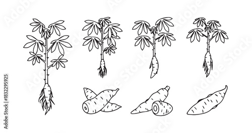 Kitchen whisk, a common cooking utensil for baking and food preparation, isolated on a clean white background.