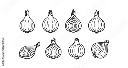 Onion icon 6 pec set black line art