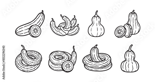 Snake Gourd icon 6 pec set black line art