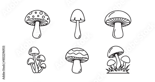 Metal kitchen whisk for cooking and baking, featuring a comfortable handle and multiple wire loops