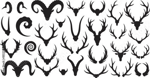 Detailed collection of various wild animal antlers and horns, including deer, ram, and goat head silhouettes for design Vector