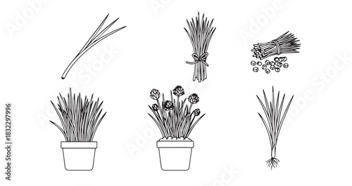 Chives icon 6 pec set black line art