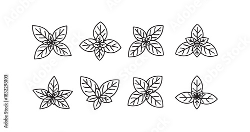 Mint icon 6 pec set black line art