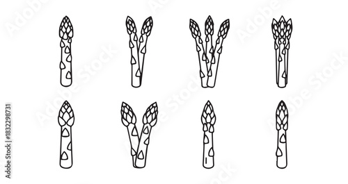 Stainless steel kitchen whisk vector for culinary use and food preparation in home kitchens