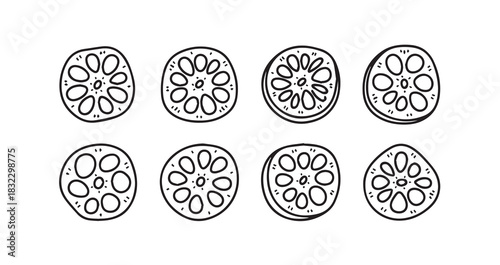 Lotus Root icon 6 pec set black line art 