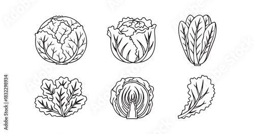 Stainless steel kitchen whisk vector illustration for baking cooking and culinary utensils