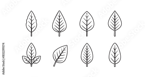 Amaranth Leaves icon 6 pec set black line art