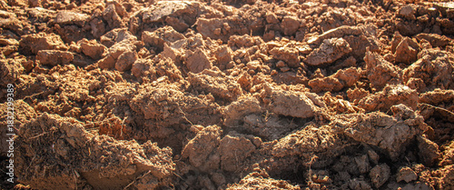 freshly turned soil with rough, textured clumps under warm sunlight