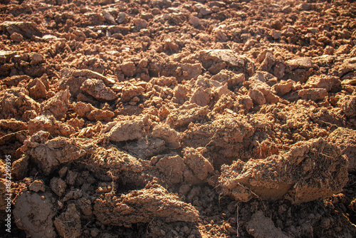 freshly turned soil with rough, textured clumps under warm sunlight