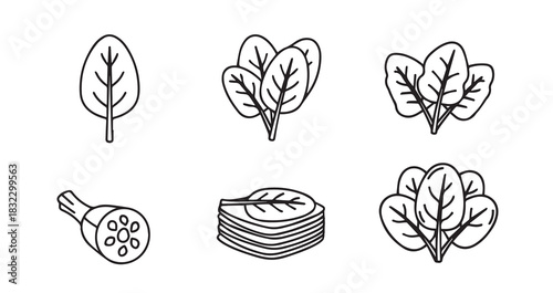 Stainless steel whisk, an essential kitchen utensil used for cooking and baking food preparation