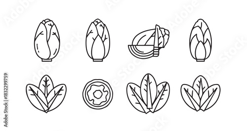 Stainless steel whisk vector illustration for kitchen appliances and culinary activities