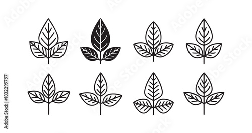 Amaranth Leaves icon 6 pec set black line art