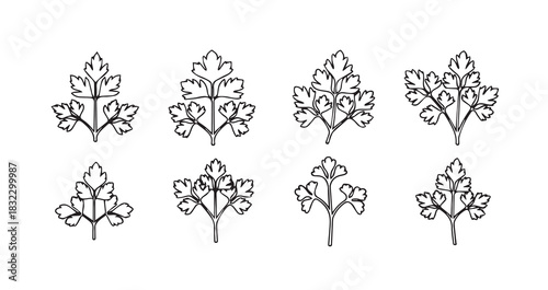 Parsley icon 6 pec set black line art