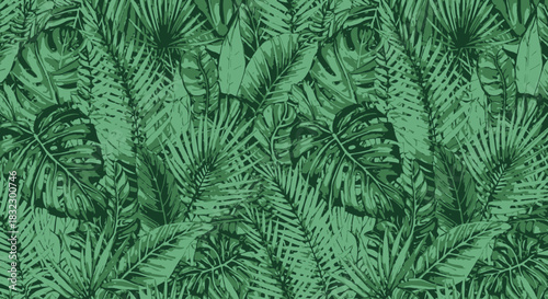 fern leaf background