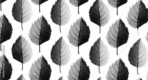 seamless pattern with feathers
