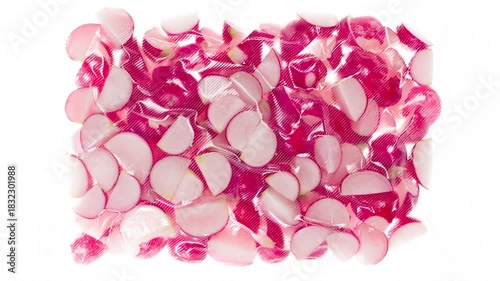 Packaging and Freezing Sliced Radishes. Radish halves are packed in a vacuum apparatus and subjected to rapid cooling with an ice jet, creating the effect of white steam on a white background
