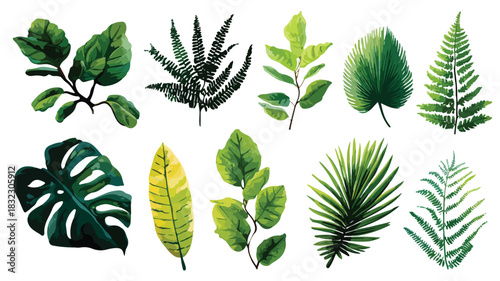 Vivid Collection of Unique Plants with Distinct Leaves for Creative Projects