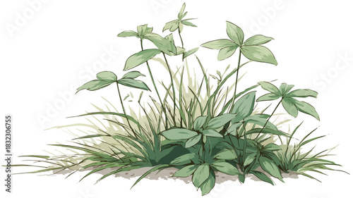 Vibrant Botanical Illustration of Plant with Green Leaves and Grass Vector