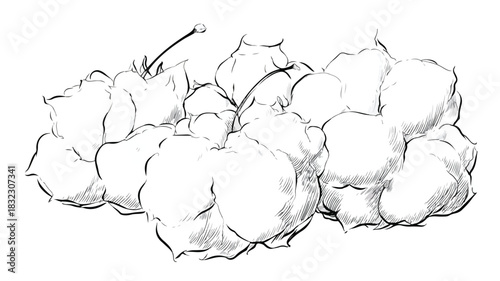 Elegant Vector Drawing of Puffs on White Background for Design Projects