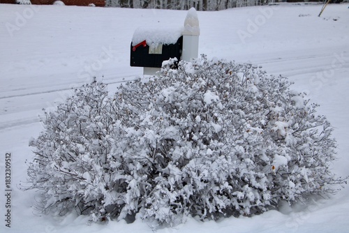 Mailbox in snow 