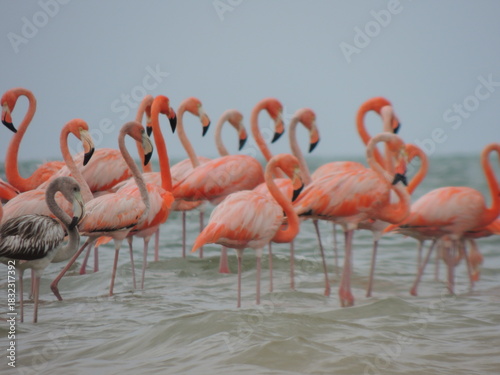 RIQUESAS NATURALES DE LA GUAJIRA COLOMBIA CULTURA WAYU