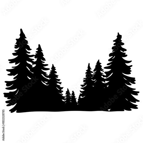 Pine tree forest silhouette, nature and wilderness in outdoor landscape context