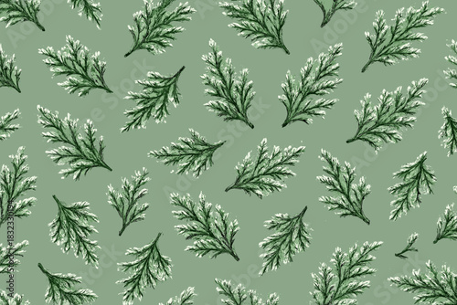 Seamless pattern of evergreen cedar branches on green textured background