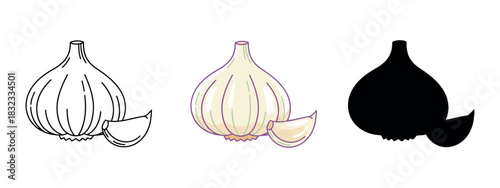 Three Renderings of Garlic Bulb Featuring Outline, Color, and Silhouette