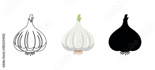 Garlic Bulb Collection in Flat Color, Outline, and Silhouette Graphic Style on White