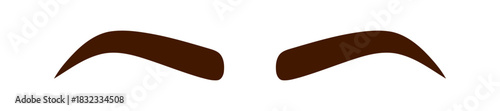 Pair of Symmetrical Dark Brown Eyebrows on a Plain White Background