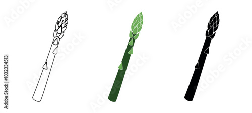 Asparagus Spear Illustrations: Outline, Green Color, and Silhouette Isolated on White