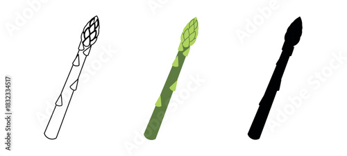 Asparagus spears displayed in a graphic style with varied line and fill showing form