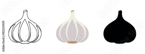 Garlic Bulb Illustrations: Line Art, Colored Drawing, and Silhouette Against White