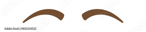 Pair of Abstract Shaped Eyebrows in Brown on a White Background