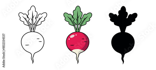 Radish Vegetable in Outline, Color and Silhouette