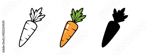 Carrot Vegetable Three Style Variations Isolated on White Background Representing Outline Form and Silhouette