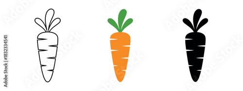 Three carrots in line: outline, orange color, and black silhouette on a white background