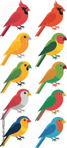 Diverse collection of ten colorful tropical small wild avian animals, featuring stylized red cardinals, vibrant green and yellow lovebirds, and blue finches, rendered in a modern flat design vector il
