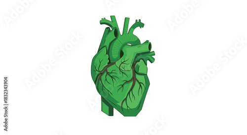 Green anatomical heart cartoon illustration isolated on white background symbolizing natural health and environmental care