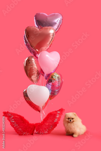 Cute Pomeranian dog with he...