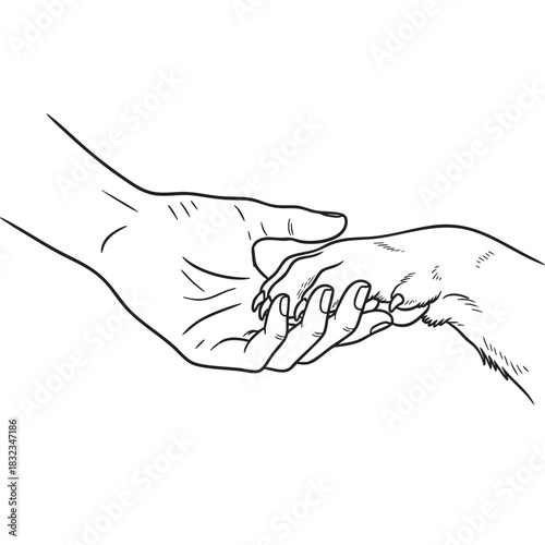 Clean minimalist white background for graphics design and illustrations use