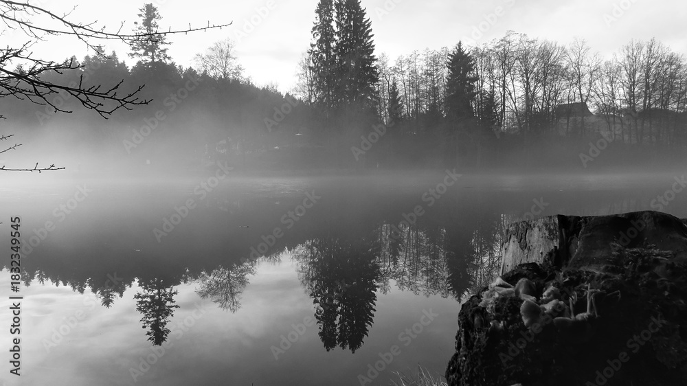 Fototapeta premium Soft mist drifts over a calm forest lake in December, shown in a tranquil black and white scene.
