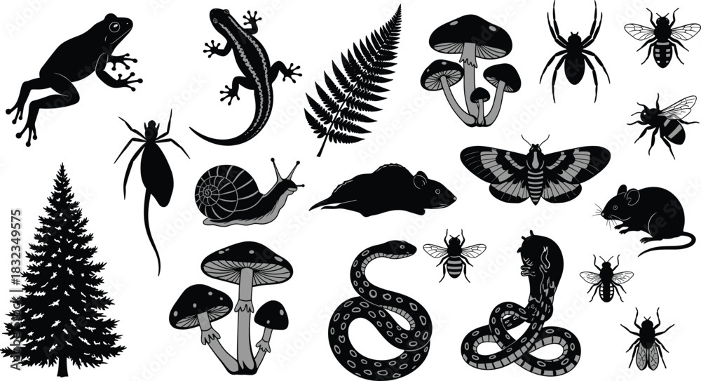 Naklejka premium Forest ecosystem silhouette, biodiversity vector icons, black nature illustration, animal insect plant fungi design, educational graphic set